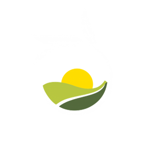 liodentro-olea.com